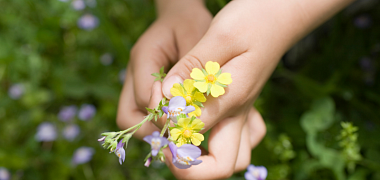 Экотропа, квадроэколята и патент на поливатор – обзор эколого-ориентированных практик в детских садах России